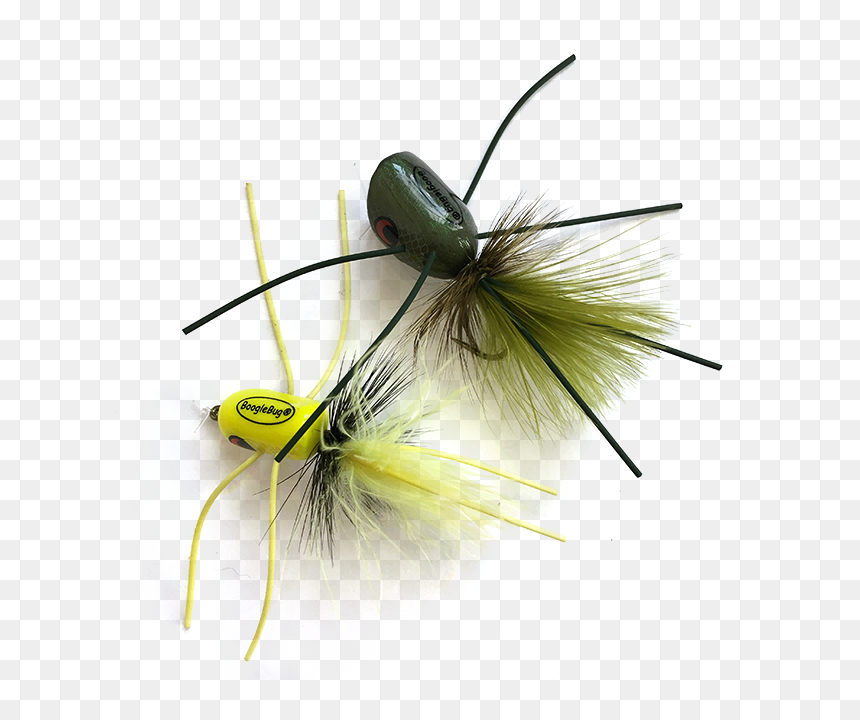 Insect , Png Download - Insect, Transparent Png - flies png