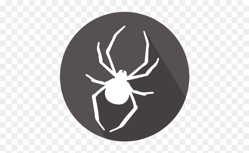 Black Widow, HD Png Download - black widow spider png