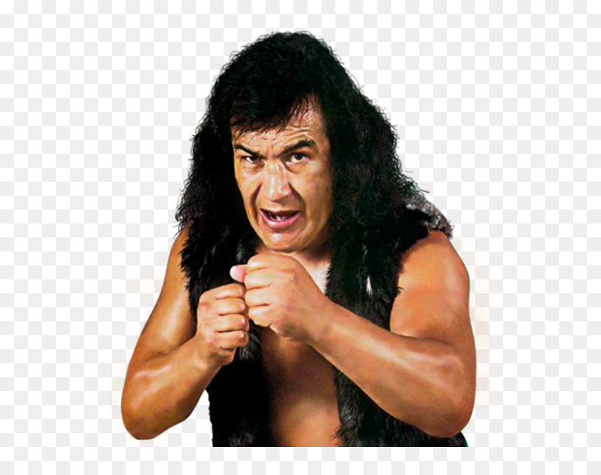 [​img] - Perro Aguayo, HD Png Download - daniel bryan png