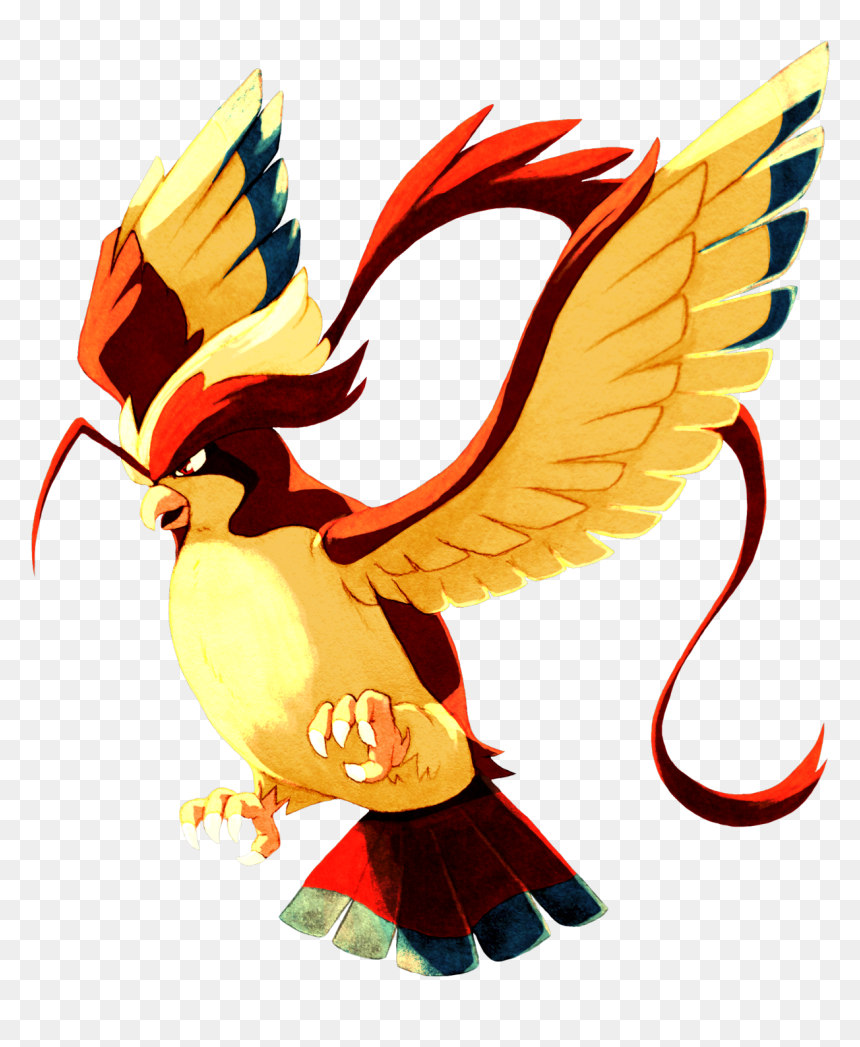 Pidgeot, HD Png Download - pidgeot png
