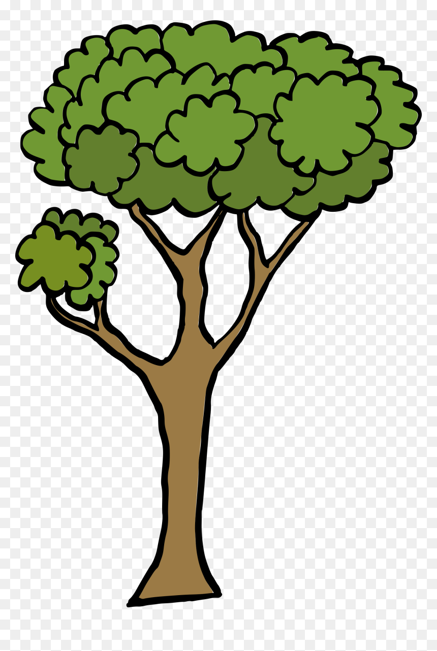 Cartoon Tree 1 - Cartoon Tree Transparent Background, HD Png Download - cartoon palm tree png