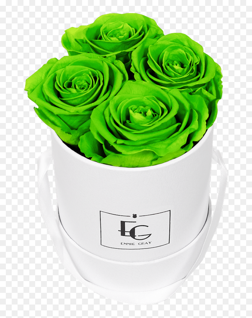 Garden Roses, HD Png Download - green glow png