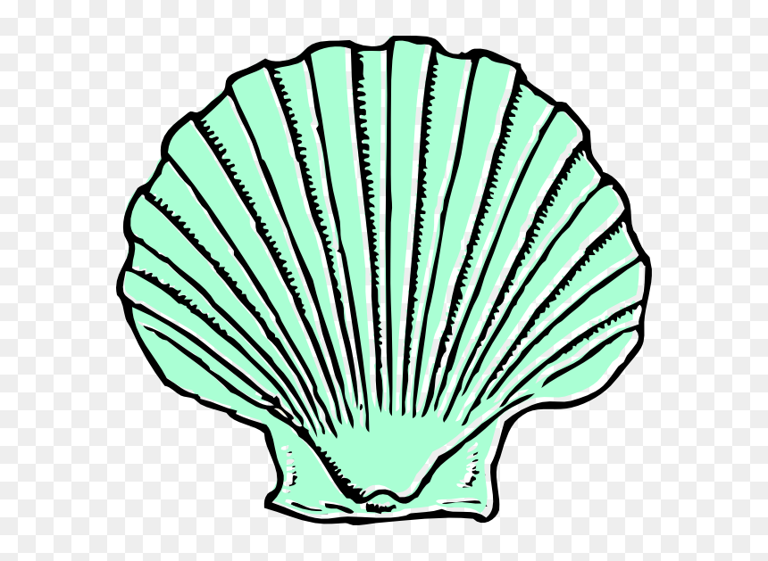 Shell Clipart, HD Png Download - sea shell png