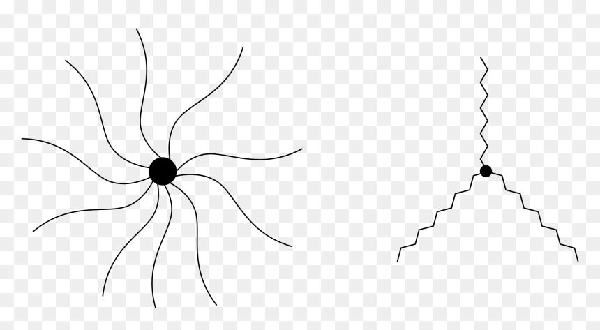 Star Shaped Polymer, HD Png Download - star shape png
