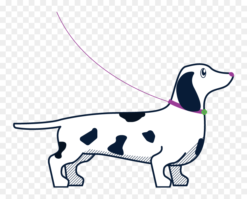 Dog Sitter, Dog Sitting, Dog Walking Clipart , Png - Dog Walking Clipart, Transparent Png - dog sitting png
