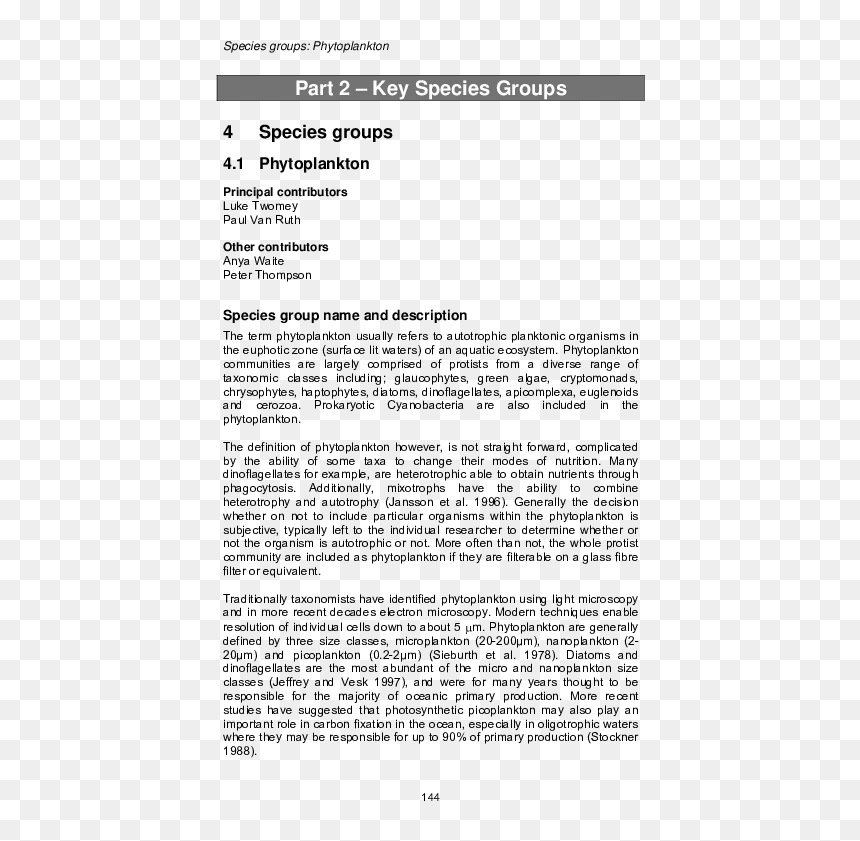 Document, HD Png Download - fishnet texture png