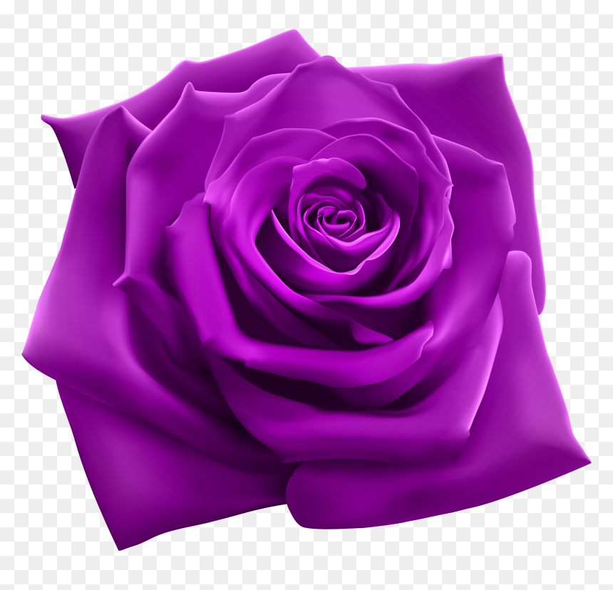 Rose Clipart Image Gallery - Most Beautiful Rose Png, Transparent Png - rose flower png