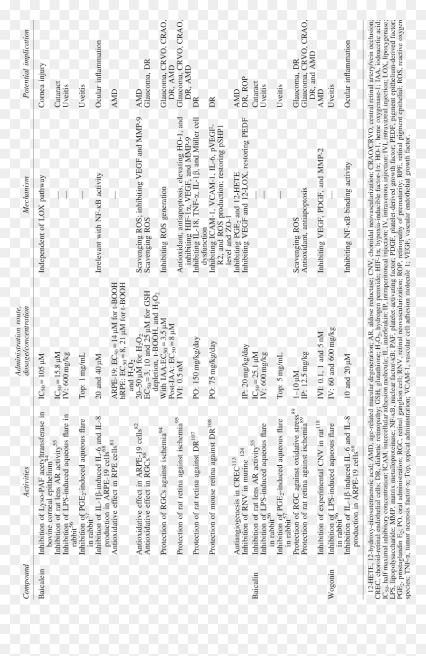 Document, HD Png Download - lens flare eyes png