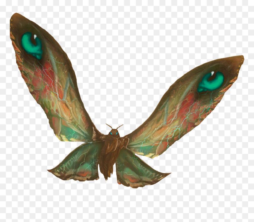 Landon Avery - Mothra Png, Transparent Png - mothra png
