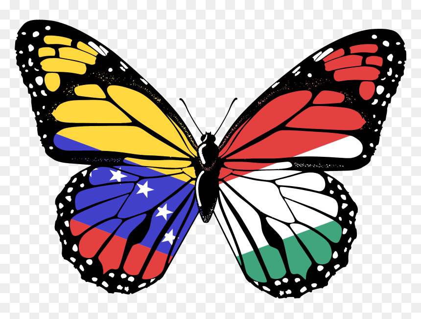 Transparent Butterfly Png Hd , Png Download - Pink Butterfly Png, Png Download - butterfly.png