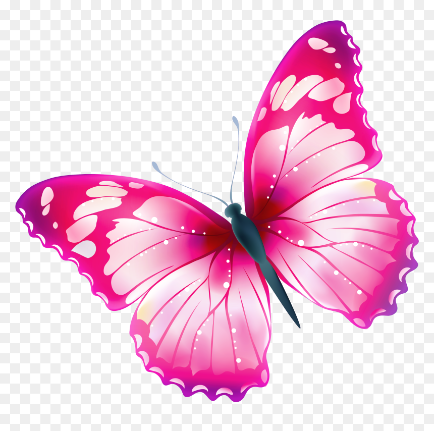 Butterfly Png Clipart, Transparent Png - butterfly.png