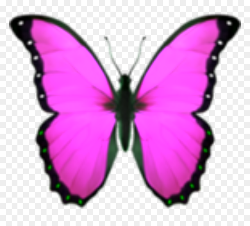 Pink Butterfly Png, Transparent Png - pink butterfly png