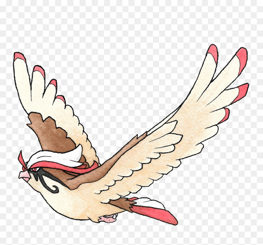 Pigeons And Doves, HD Png Download - pidgeot png