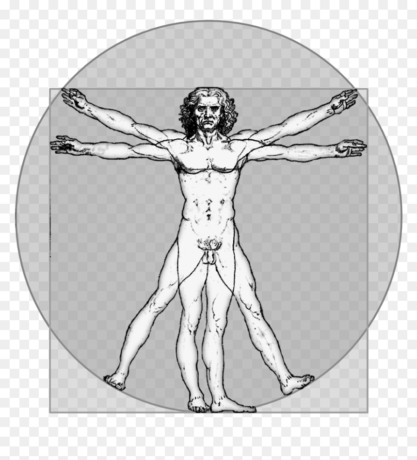Thumb Image - Innovation Leonardo Da Vinci, HD Png Download - vitruvian man png
