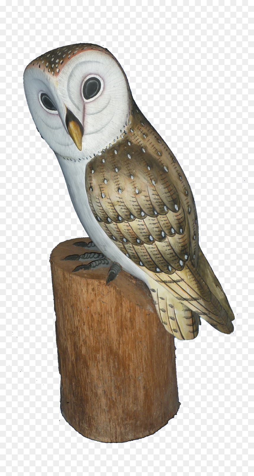 Log In To Your Account - Barn Owl, HD Png Download - ovo owl png