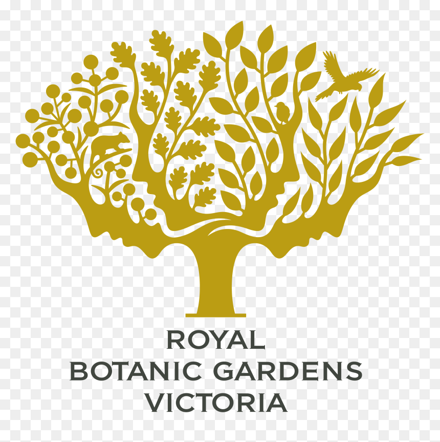 Transparent Eucalyptus Png - Royal Botanic Gardens Logo, Png Download - eucalyptus png