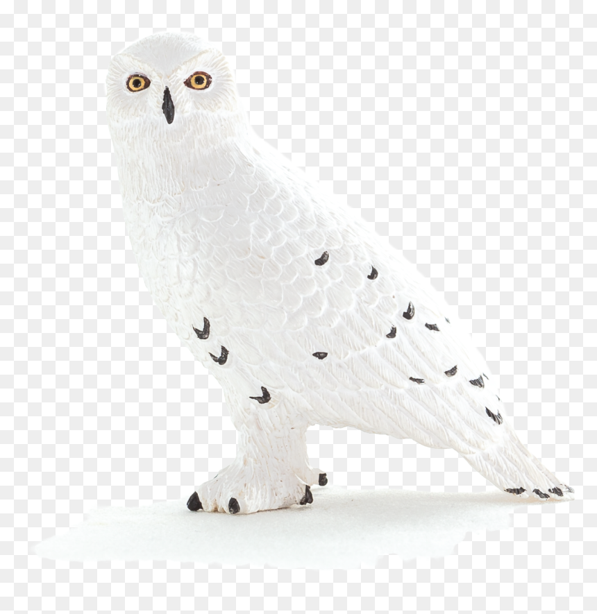 Animal Planet Snowy Owl - Snowy Owl, HD Png Download - ovo owl png