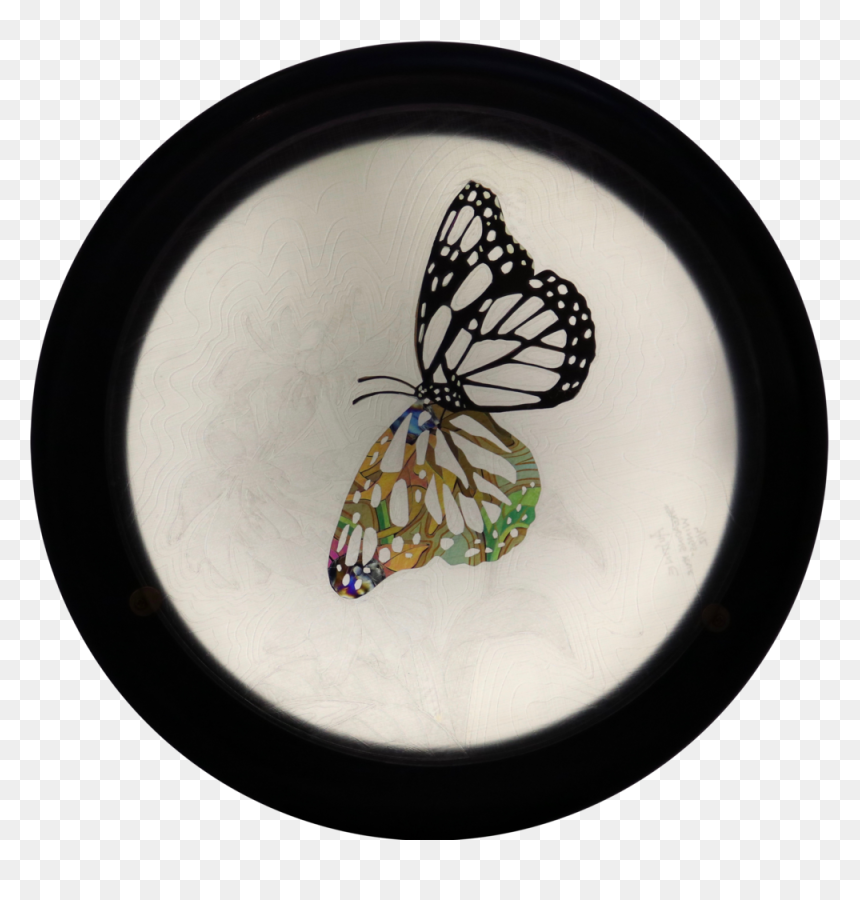 Spreading Your Wings - Monarch Butterfly, HD Png Download - butterfly wings png