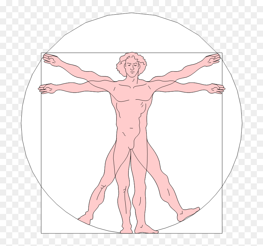 Drawing Leg Leonardo - Pink Renaissance Transparent, HD Png Download - vitruvian man png