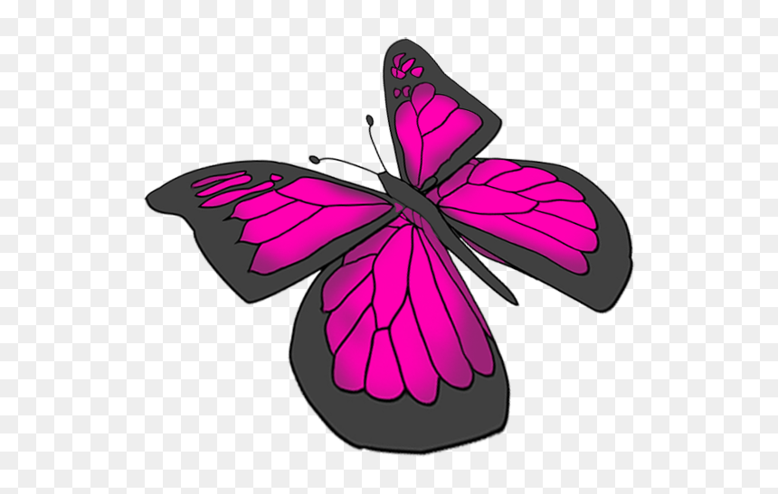 Purple Butterfly Drawing - Beautiful Butterfly Drawing, HD Png Download - pink butterfly png