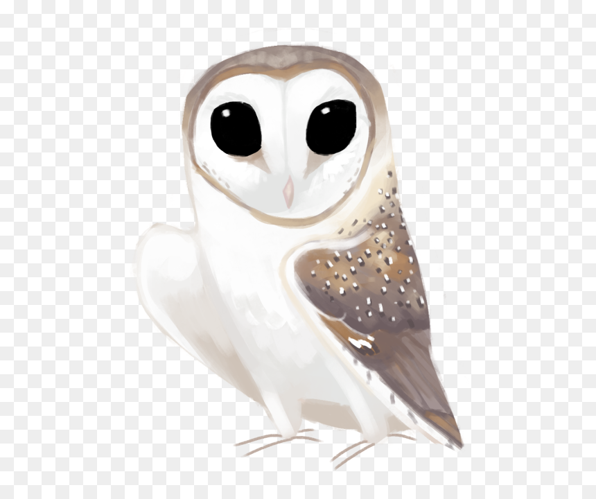 Eastern Barn Owl Tyto Delicatula - Barn Owl, HD Png Download - ovo owl png