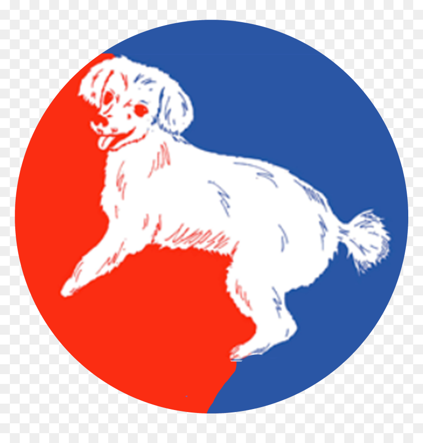 Dog Catches Something, HD Png Download - dog sitting png