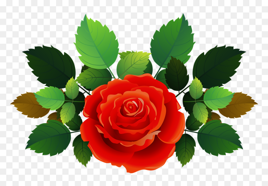 Rose, HD Png Download - rose bush png
