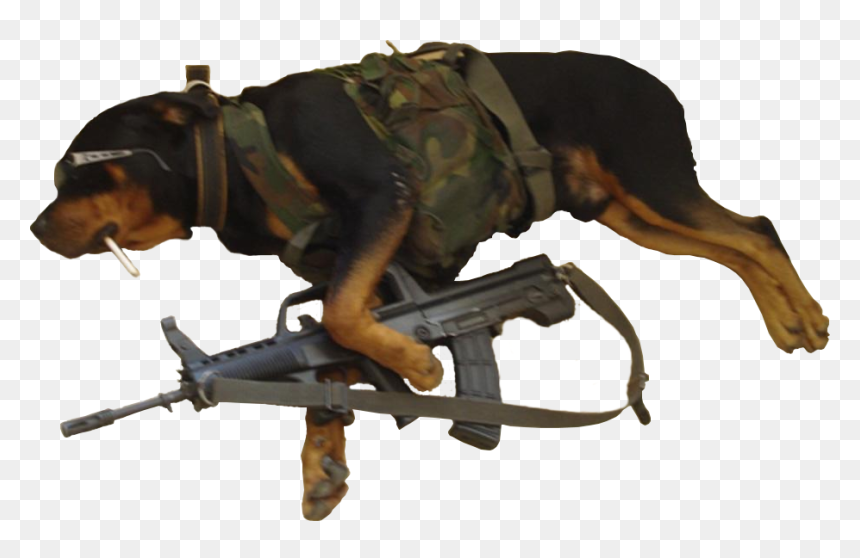 Dog, HD Png Download - holding gun png