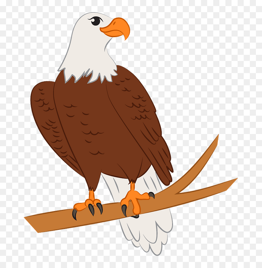 Eagle Clipart - Bald Eagle, HD Png Download - eagle clipart png