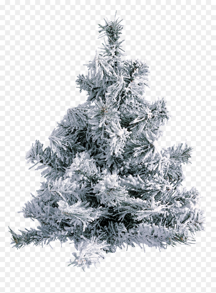 Gifs De Arboles De Navidad Png , Png Download - Christmas Tree With Frost, Transparent Png - arboles png