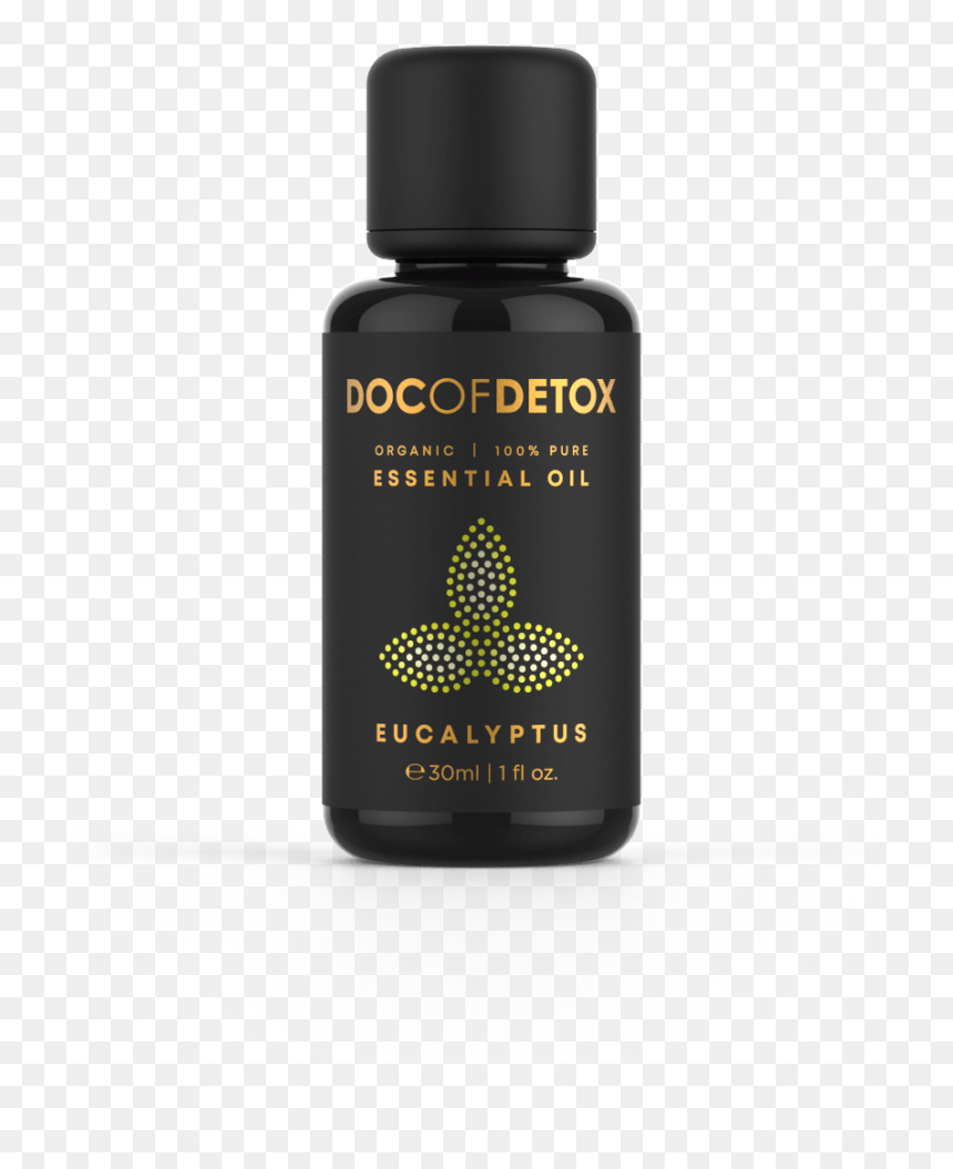 Herb, HD Png Download - eucalyptus png