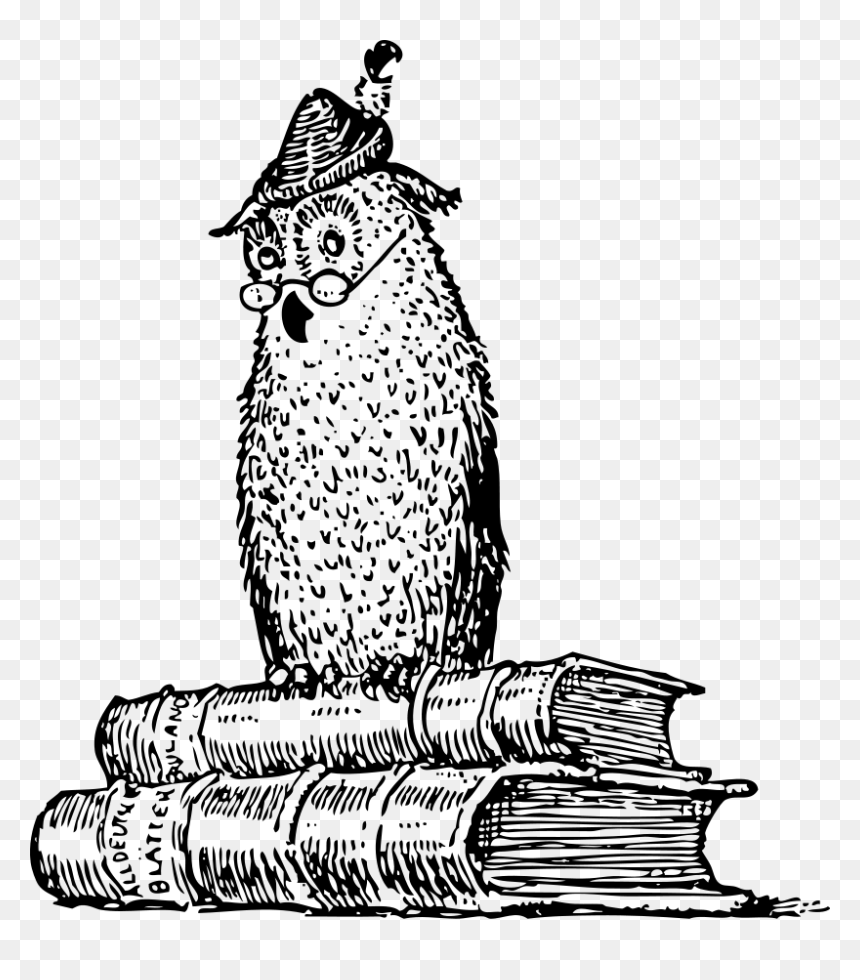 Owl On Books Png , Png Download - Wisdom Black And White, Transparent Png - ovo owl png