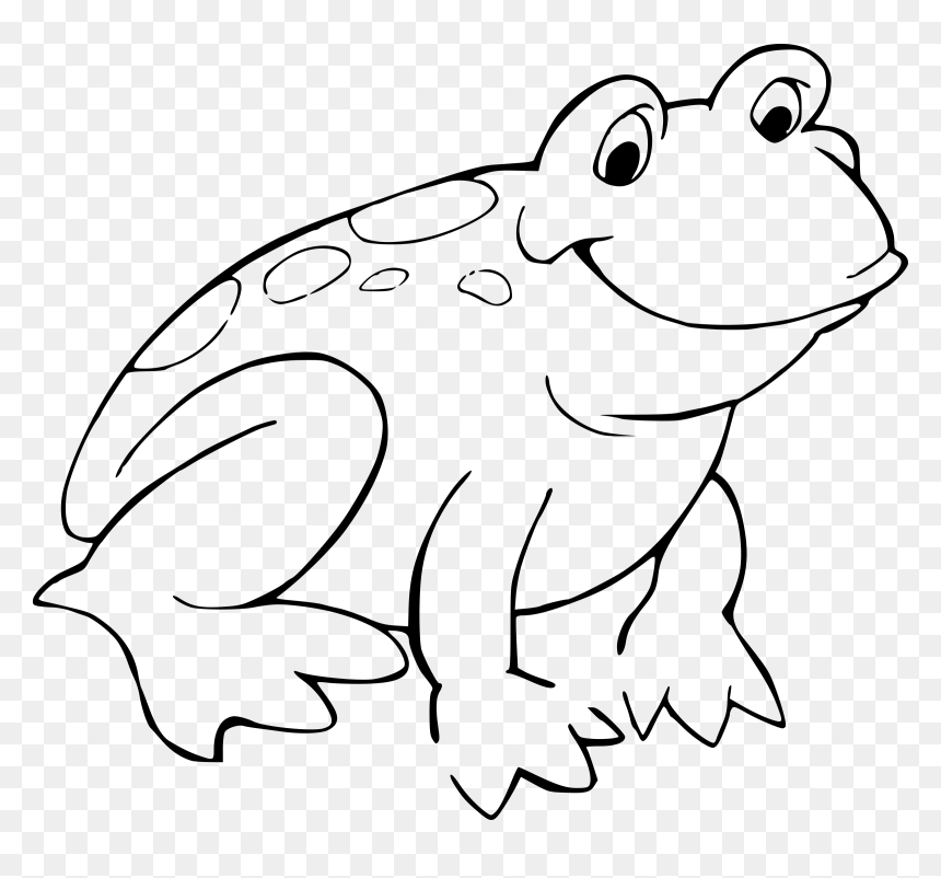 Banner Library Stock Grenouille Big Image Png - Frog Coloring Pages, Transparent Png - banner outline png