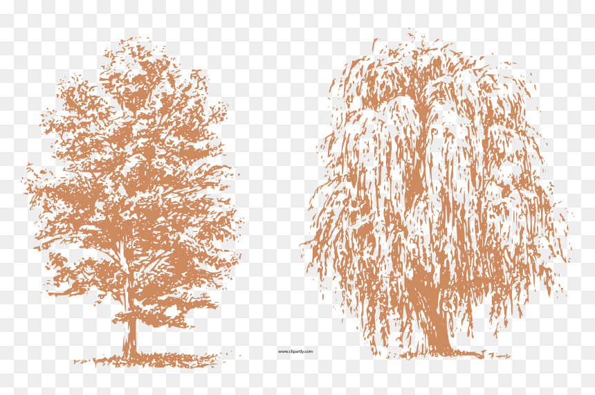 Transparent Tree Clipart Png - Dibujos De Arboles Con Estilografo, Png Download - arboles png