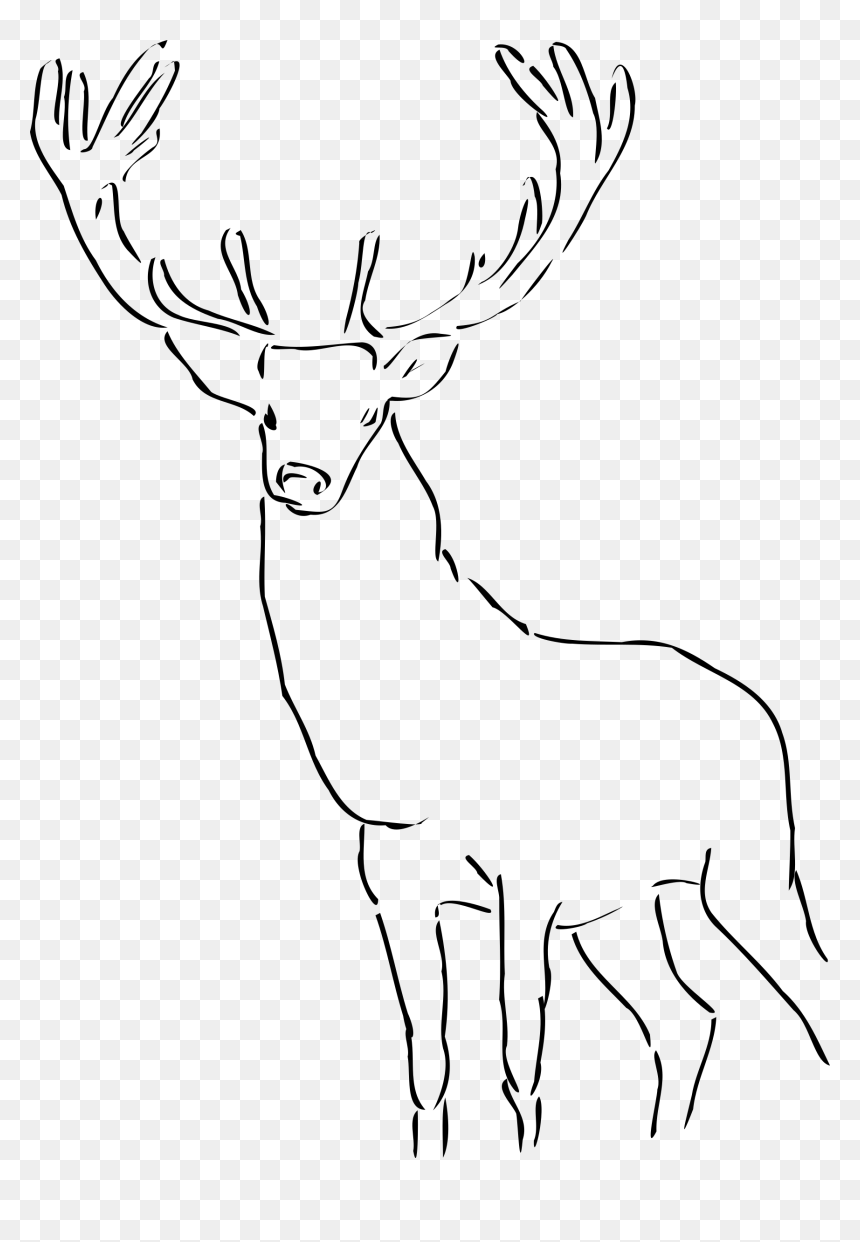 Stag Clipart Drawn - Reindeer Images Black And White, HD Png Download - drawn heart outline png
