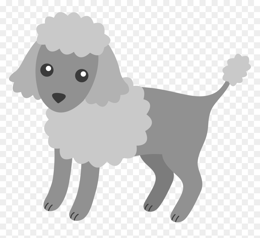 Miniature Poodle Puppy Toy Poodle Clip Art - Gray Poodle Clip Art, HD Png Download - poodle png