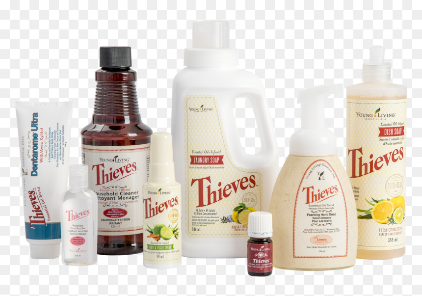 Transparent Young Living Logo Png - Young Living Thieves Product Graphics, Png Download - young living logo png