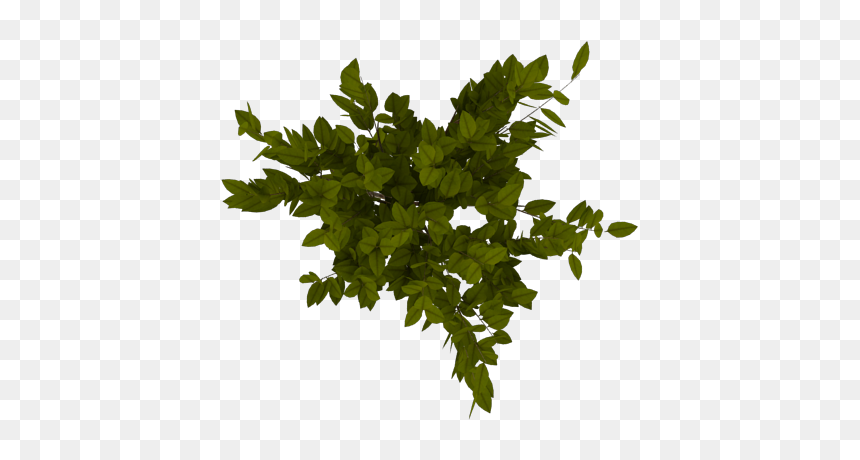 Arboles Desde Arriba Png, Transparent Png - arboles png