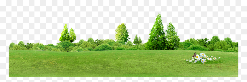 Chroma Key Tree Computer File - Arboles De Fondo Png, Transparent Png - arboles png