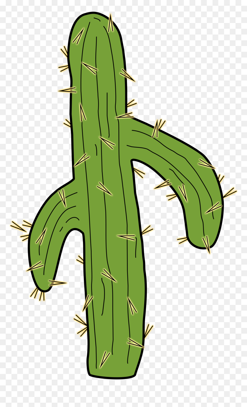 San Pedro Cactus, HD Png Download - cactus clipart png