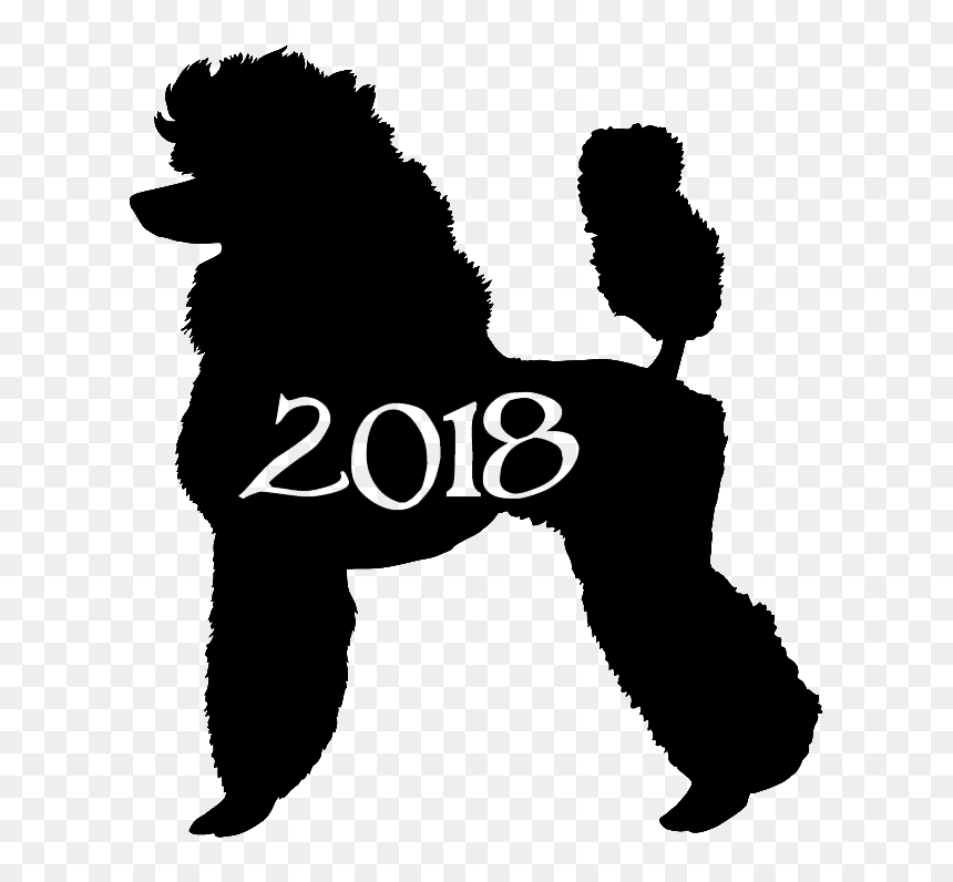 Standard Poodle Silhouette Clip Art Vector Graphics - Standard Poodle, HD Png Download - poodle png