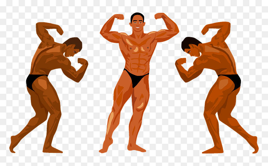 Bodybuilding Competition Clipart - Barechested, HD Png Download - bodybuilder png