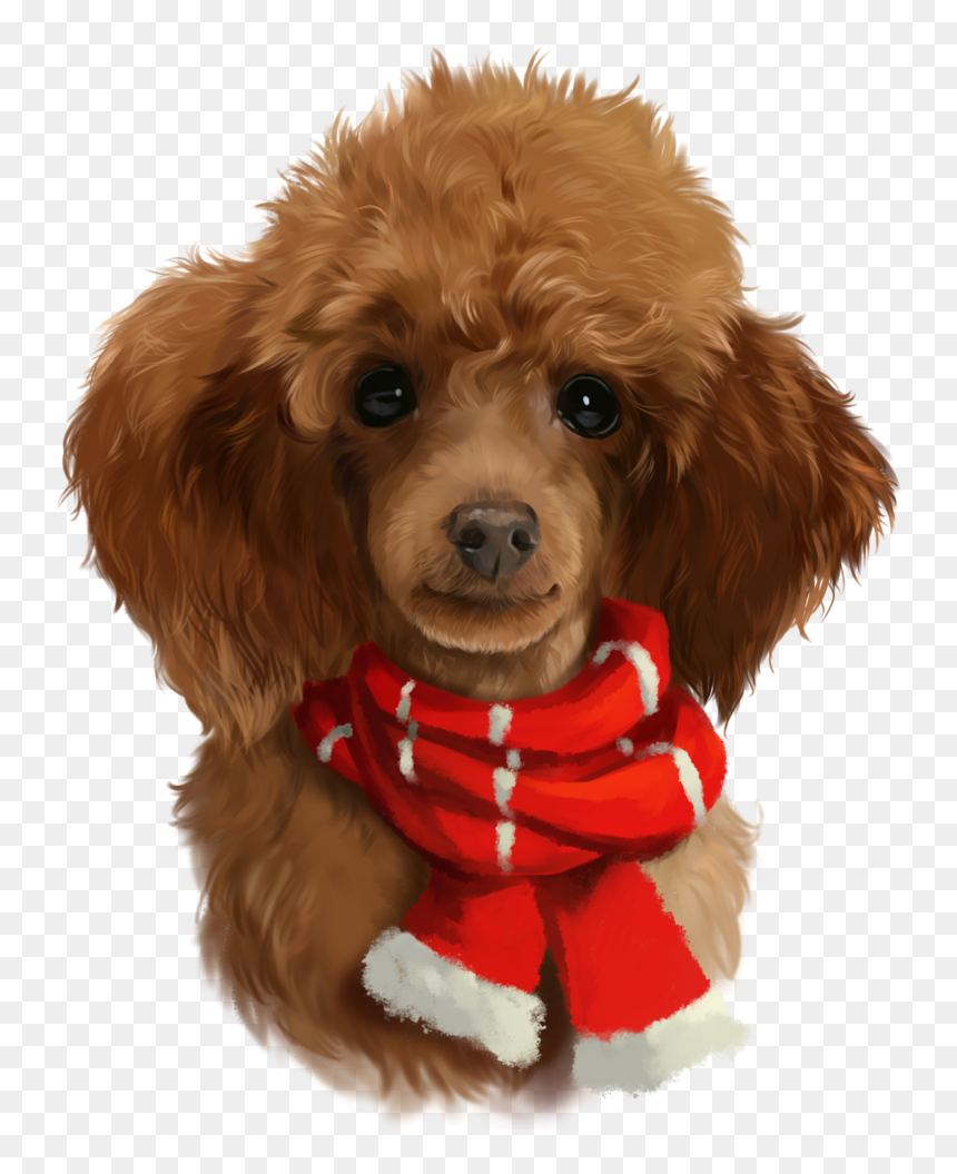 Shop Red Poodle Poster Created By Kajennaart - Poodle Art Png, Transparent Png - poodle png