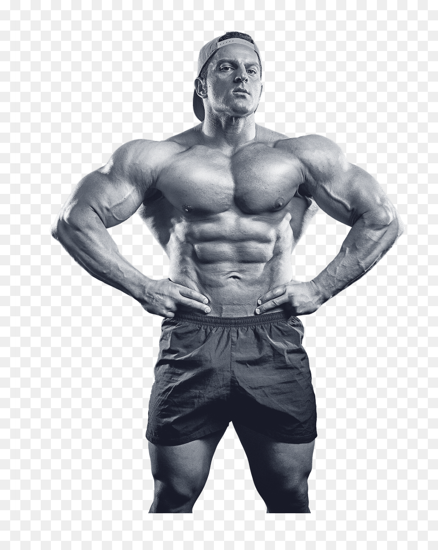 Arash Rahbar, HD Png Download - bodybuilder png