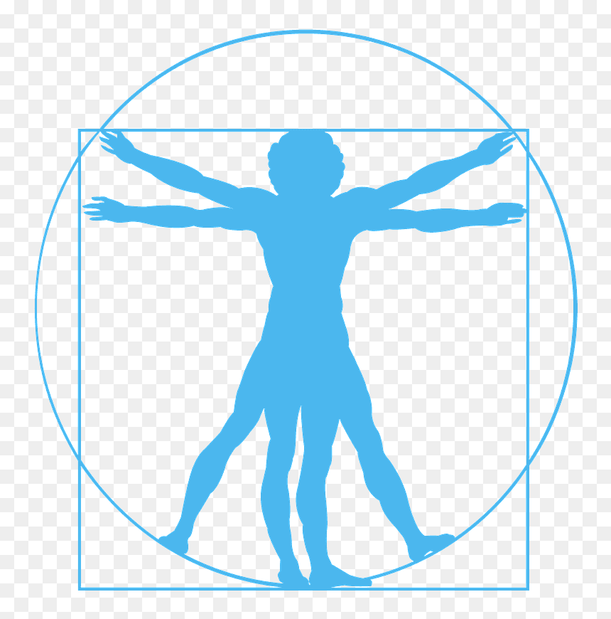 Vitruvian Man Silhouette, HD Png Download - vitruvian man png