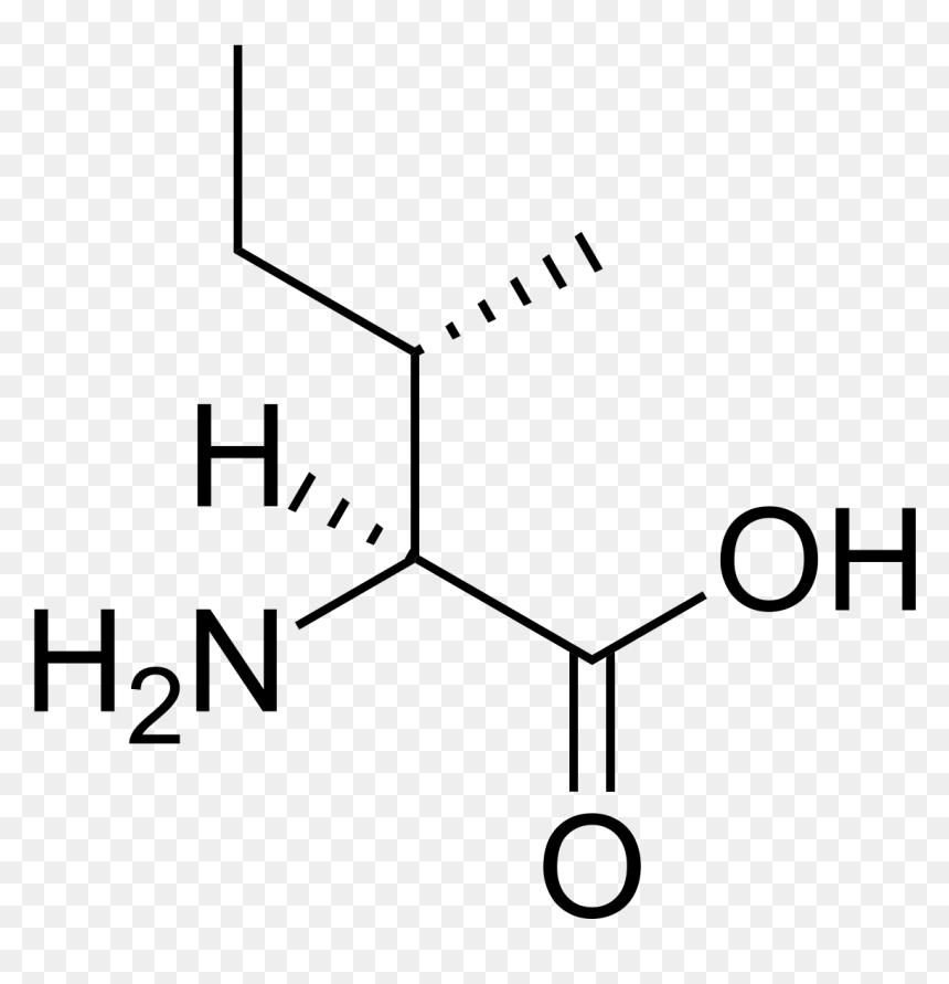 Methionine, HD Png Download - maple syrup png