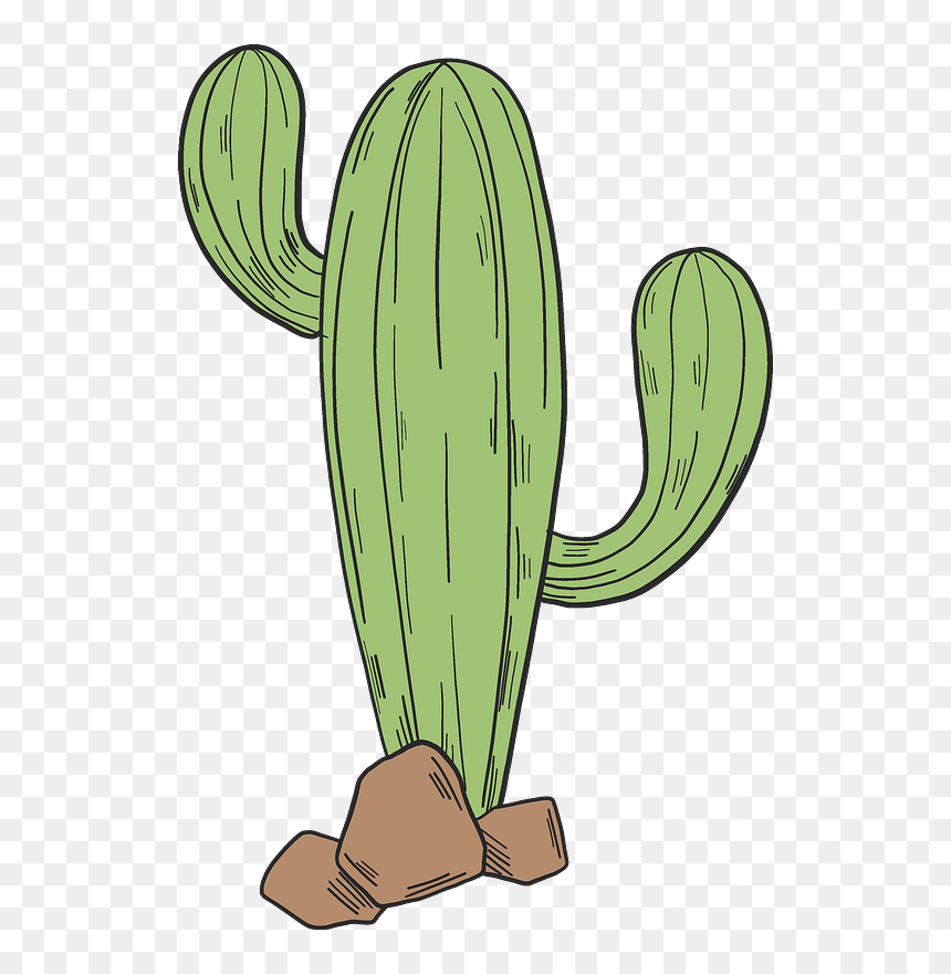 Cactus Clipart - Hedgehog Cactus, HD Png Download - cactus clipart png