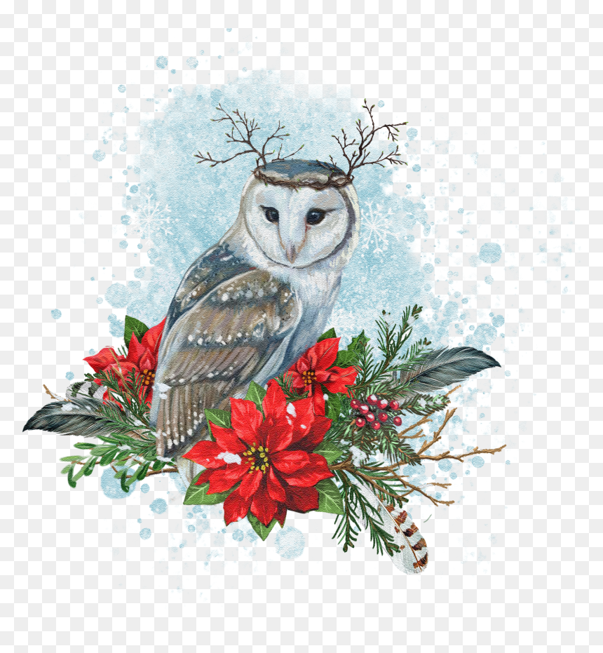 Seasonal Illustrations For Packaging And Merchandising - Barn Owl, HD Png Download - ovo owl png