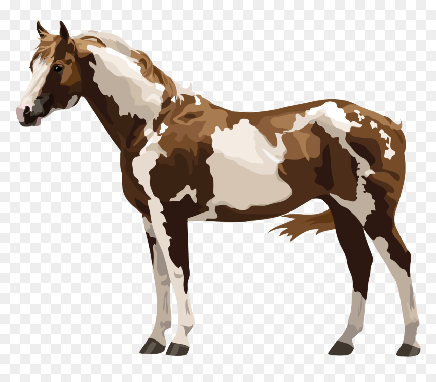 Horse & Pony Breeds With Fun Free Quizzes About Horse - Paint Horse Png, Transparent Png - mustang horse png