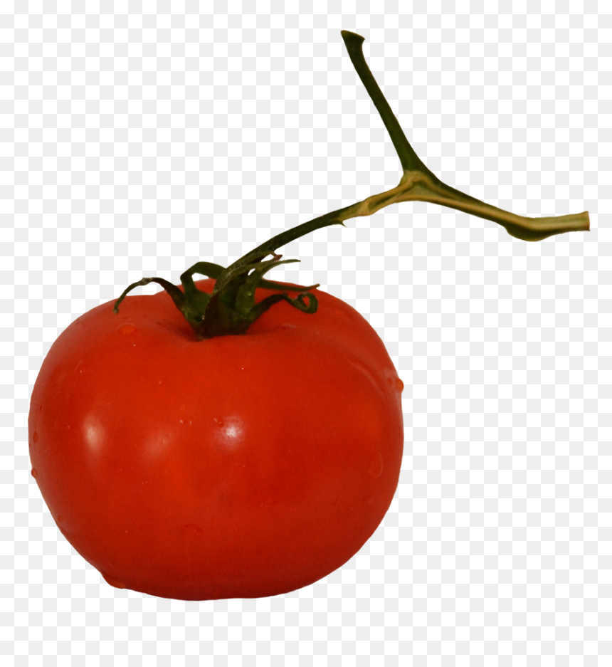 Tomato On Stem - Plum Tomato, HD Png Download - tomato slice png